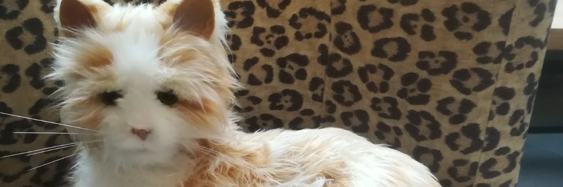 Drink coffee at girlfriend - # coffee moment | Piteke van der Meulen