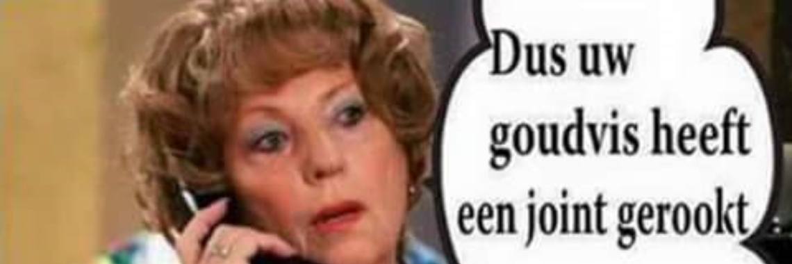 Mien Dobbelsteen