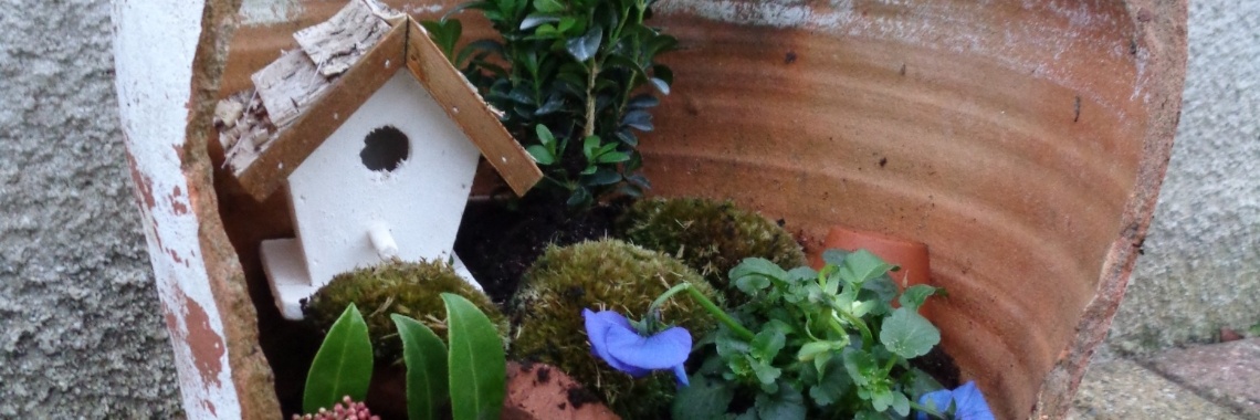 Mini-tuintje maken | Piteke van der Meulen