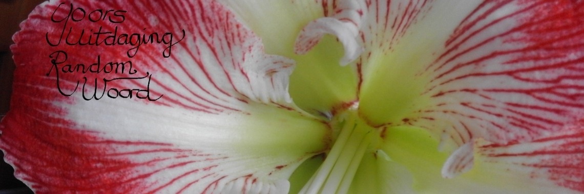 Op reis | Piteke van der Meulen