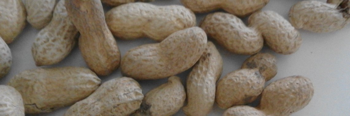 Pinda's | Piteke van der Meulen