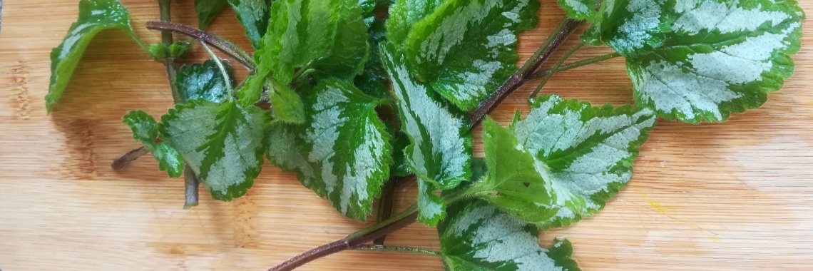 Stamppot met wilde groenten/kruiden | Piteke van der Meulen