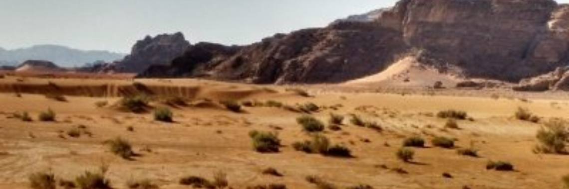 tautogram uitdaging december 2018 - Woeste Willem | Piteke van der Meulen