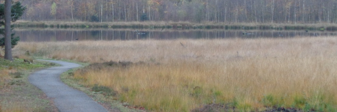 Walk on estate de Slotplaats in Bakkeveen - Friesland | Piteke van der Meulen