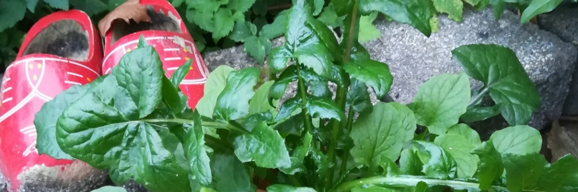 Wat leuk is dit, deze nieuwste verandering! | Piteke van der Meulen