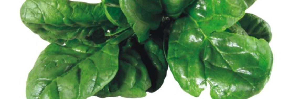 Spinazie stamppot | Bacon&Beans