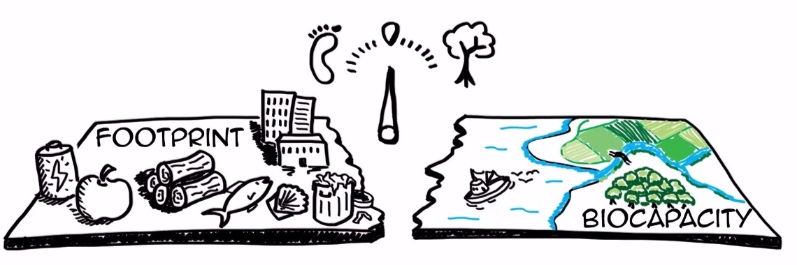 #1 Ons ecologisch bewustzijn  | Christel Falina