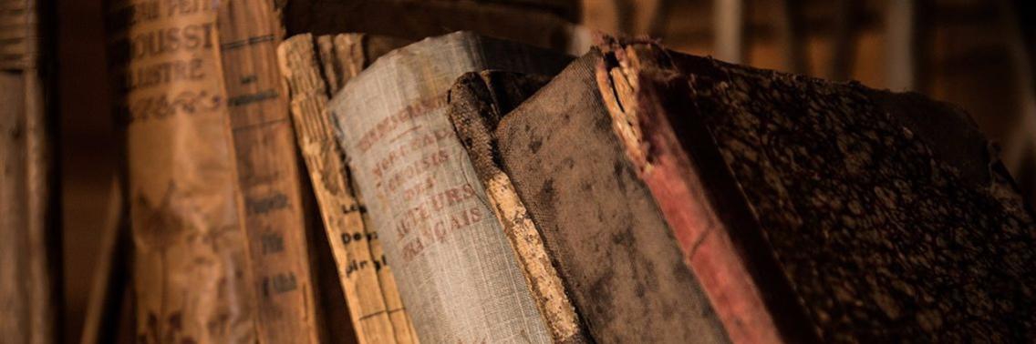 Shakespeare Live - To Be or Not To Be (met Prince Charles) | Tien