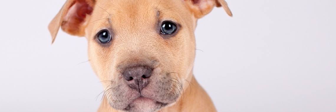 Ik wil mij ook graag introduceren | Richie Skeer