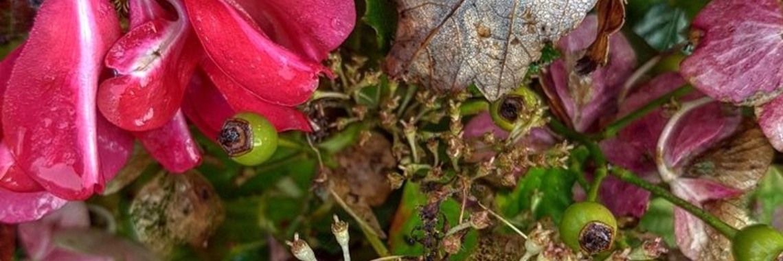 September 2016 | Giesje