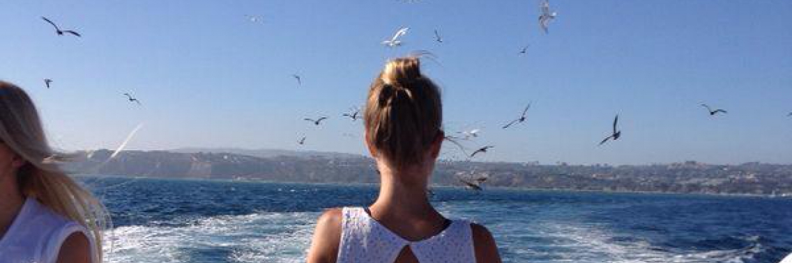 Whale watching @ Laguna beach | Yara