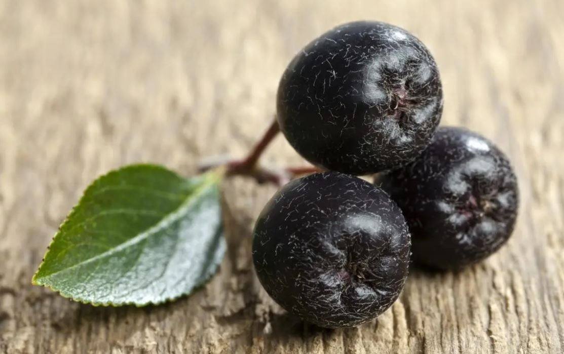 The Health Benefits of Acai: Boost Your Immunity & Wellness Naturally | My Battery