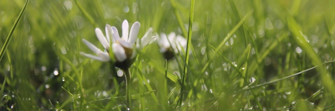 Kort verhaal: A swing under the sun  | aroundAnnebel