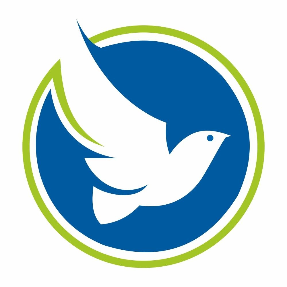 bluebirdsolarin
