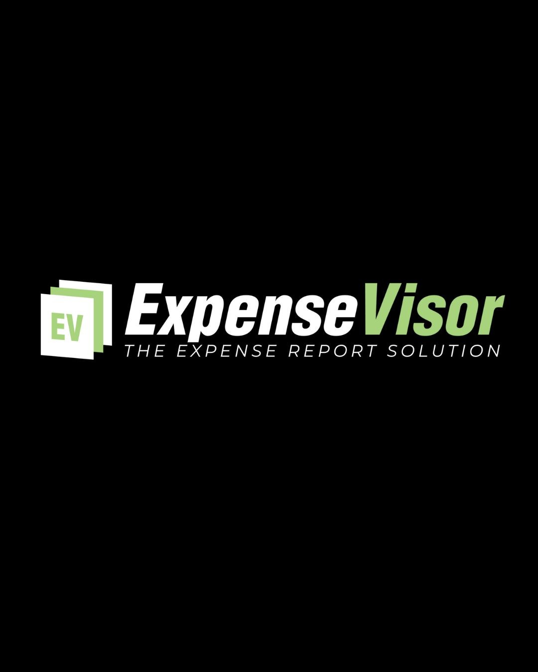 expensevisor1