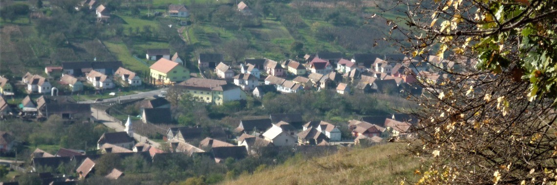 Lockdown in Blajel. af.19 | casapapusilor