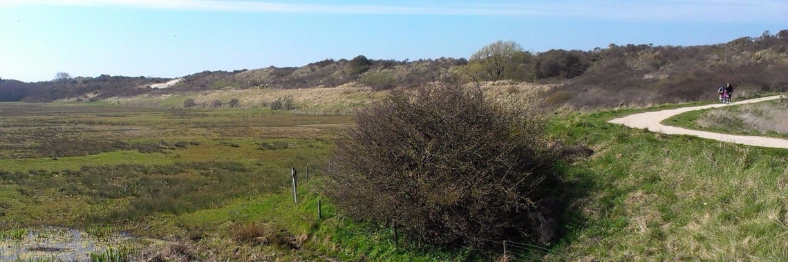 De pracht van het buitenleven | B3th