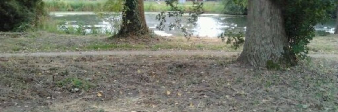 Gloednieuwe lente op komst | B3th