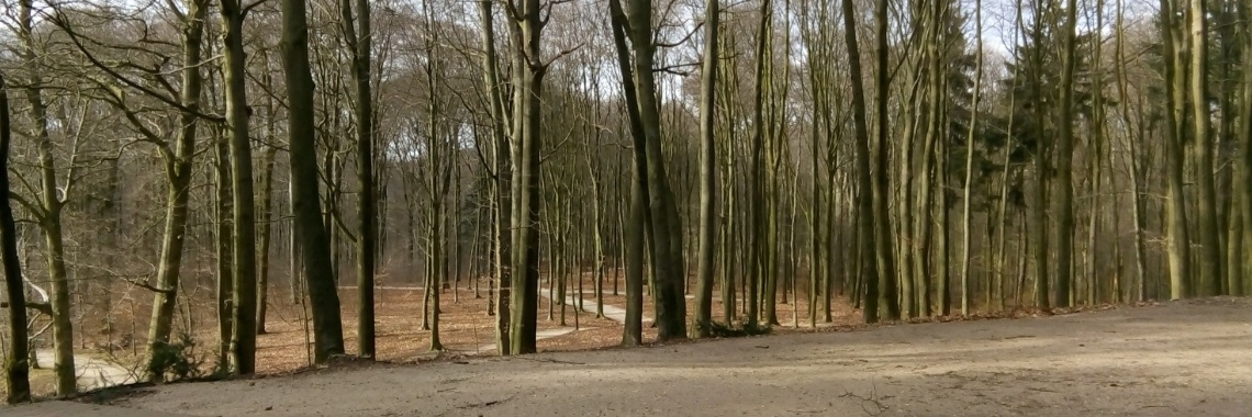 Met het boekenweekgeschenk naar Arnhem | B3th