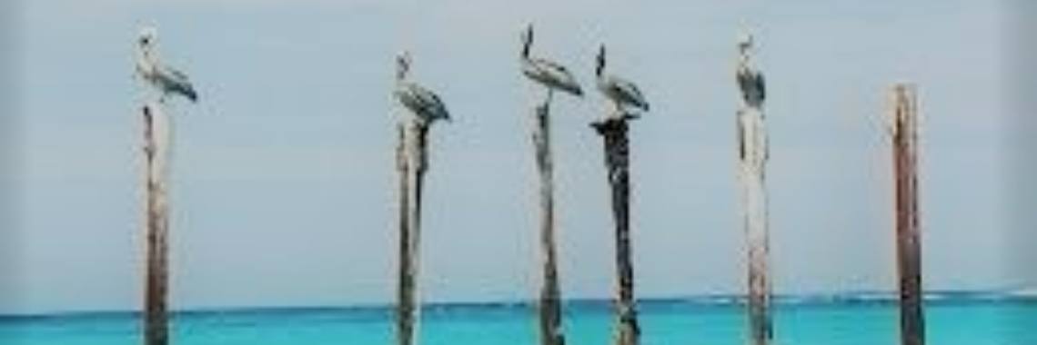 One down, five to go | B3th