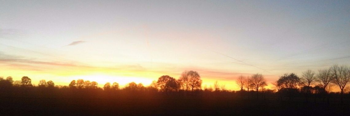 fotograferen | Rosanne Bisschop