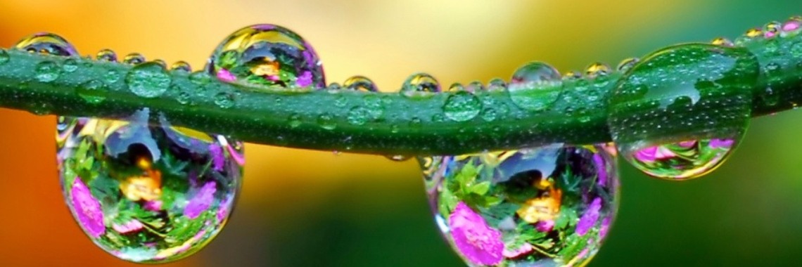 Buiten de lijntjes kleuren  | nicol