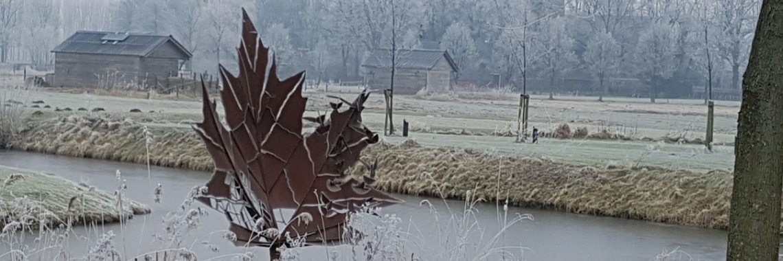 Dat zou mooi zijn... | DC Staelens