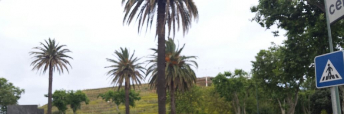 Azoren ~ Sao Miguel | Foodies