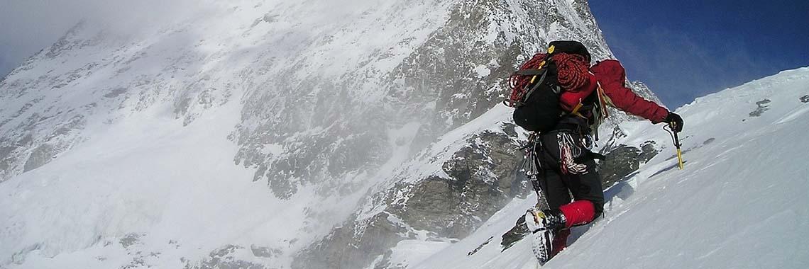 New Darlings | foence