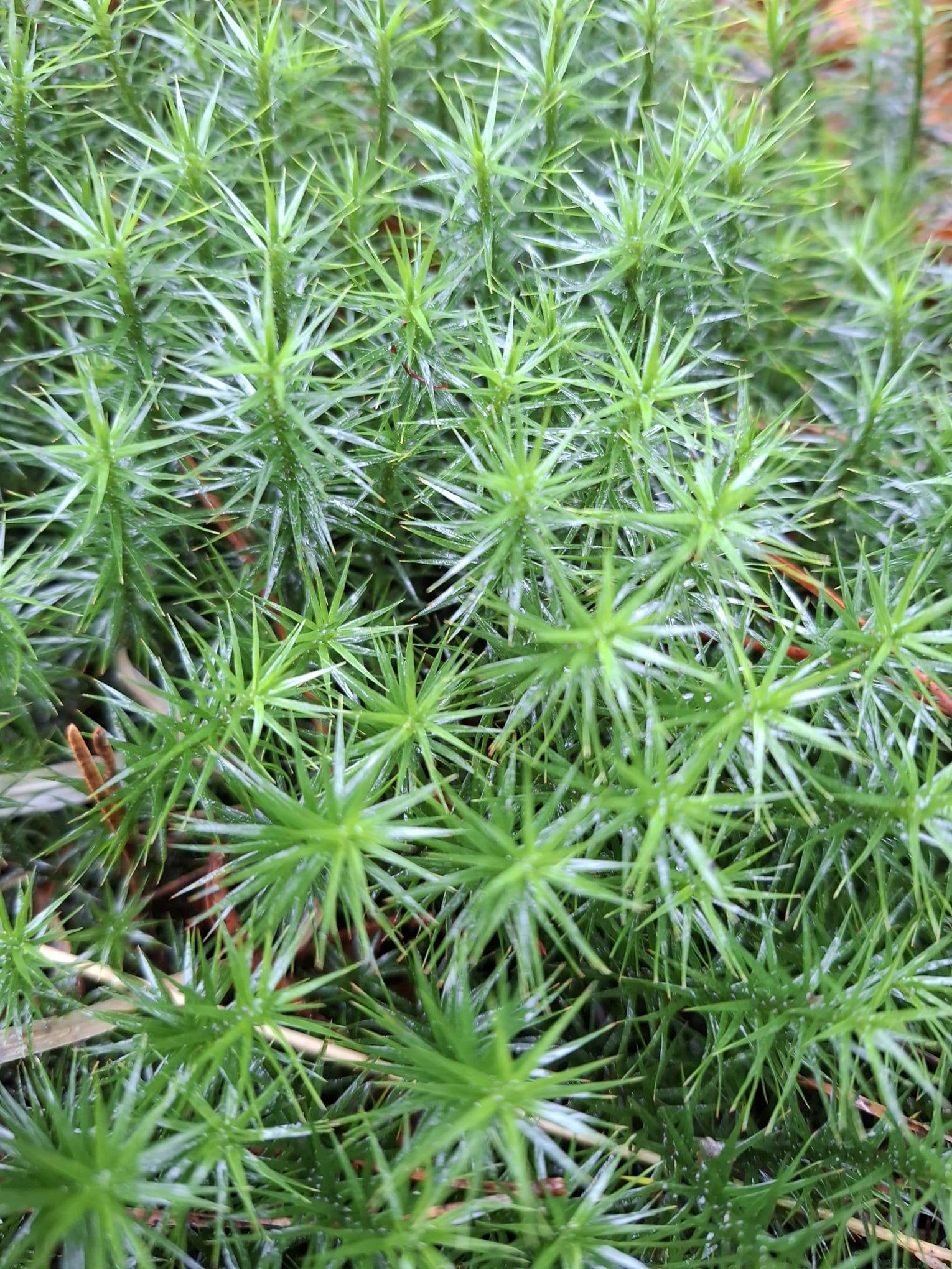 Wandeling door het Stadsbos | KimsBlog