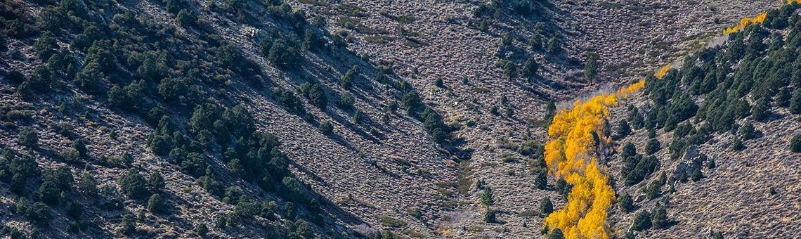 In de nacht geschreven.. | Ingeborgenzwerm