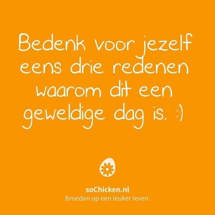 Re: Noem 3 dingen die deze dag geweldig maakt | weirdmommy