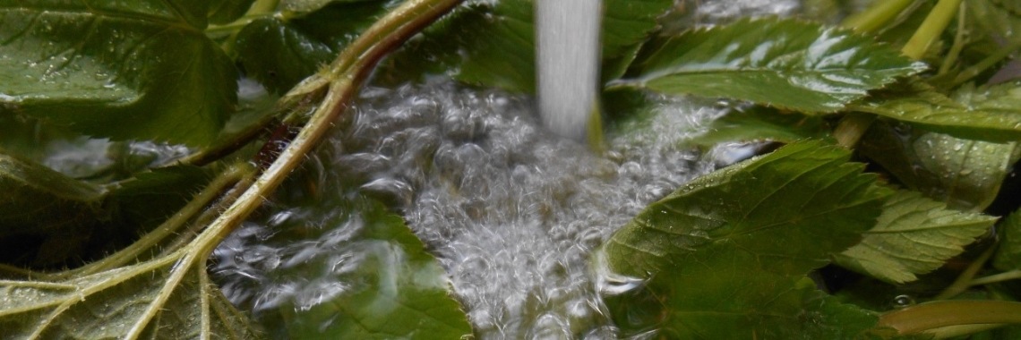 Om over na te denken... Wat voelt fijner? | Anneke Bleeker