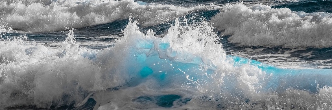 Help Plastic Soup Foundation? | Sabrina Mols