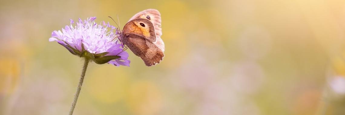 Mijn favoriete..... | Sabrina Mols