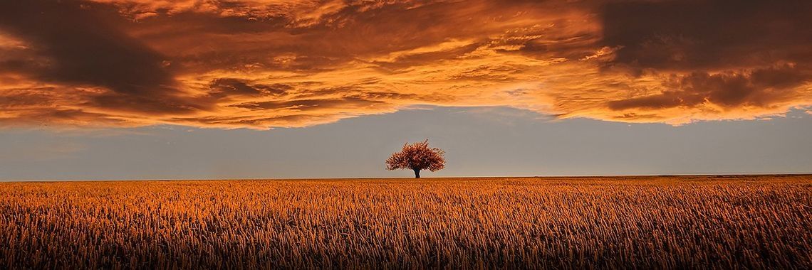 Mooi avondje | Sabrina Mols