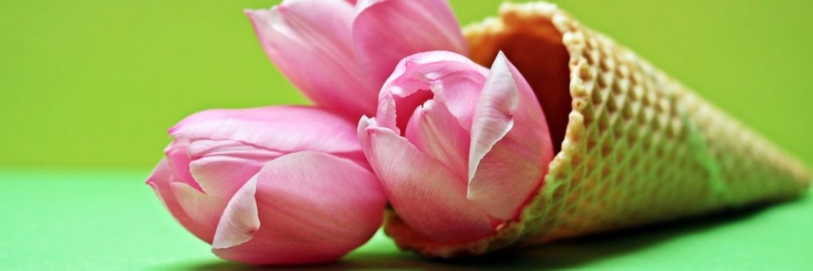 Mooie lentedag | Sabrina Mols