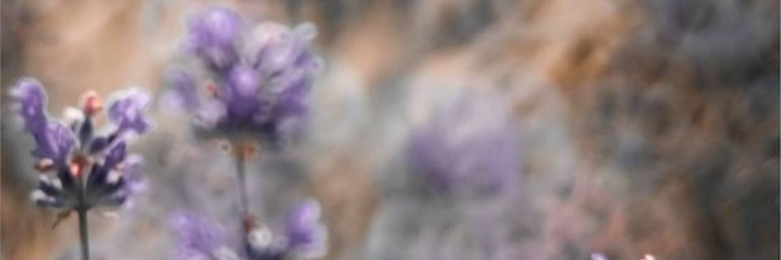 Natuur in pastel | Sabrina Mols