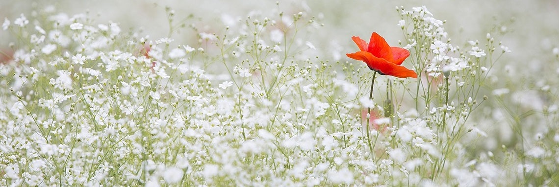 Tips om inspiratie op te doen | Sabrina Mols