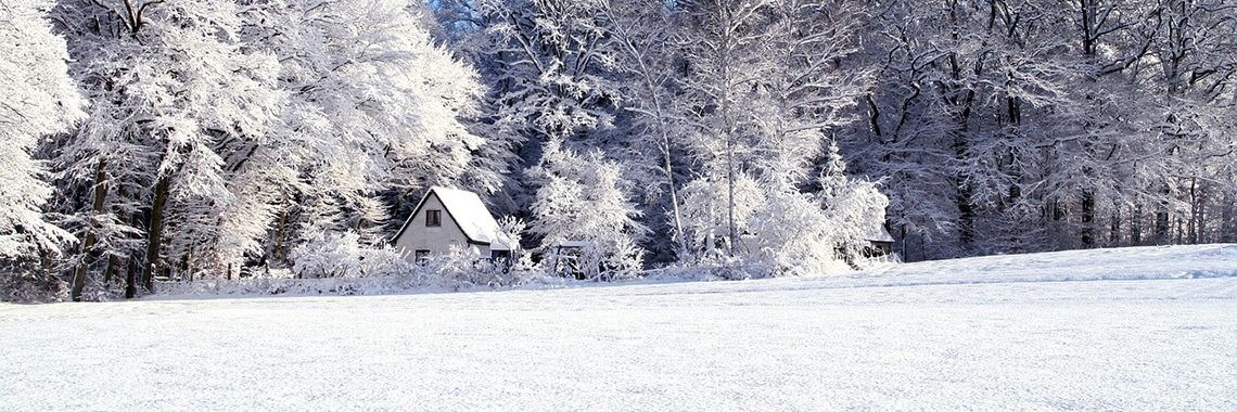 Winter photochallenge dag 1 | Sabrina Mols
