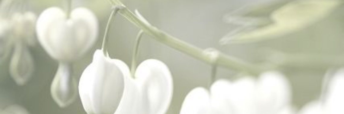 Woordspel kleur: Wit | Sabrina Mols