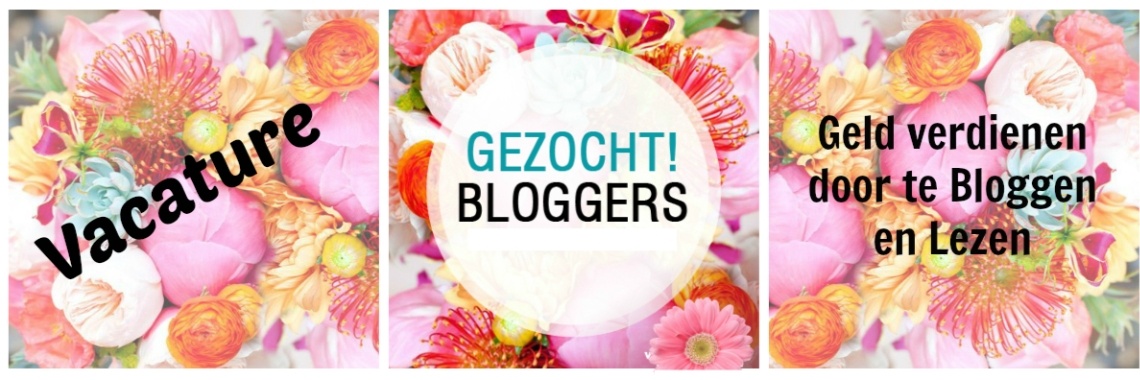 " Verdienen Keiharde Euro's door te Bloggen & te Lezen "   | Me, Myself & Crazyness