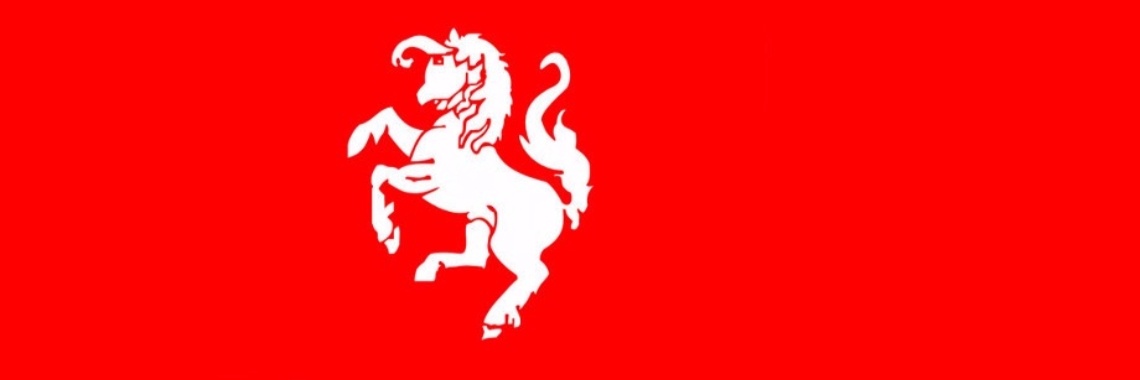 Nederlands? Deze 10 uitspraken zijn hartstikke Twents! | Life of Lotte