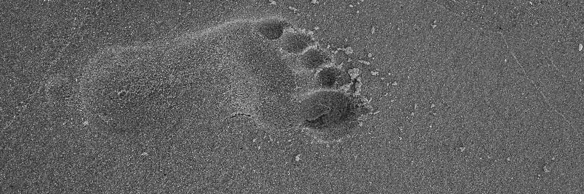 Gefascineerd door de dood | irene.schievink