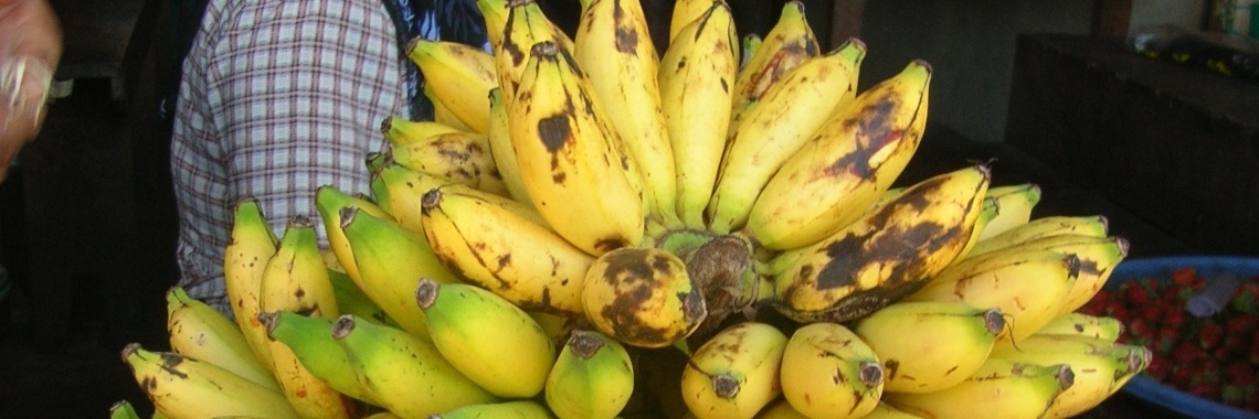 Balinees Fruit | Dewaputra