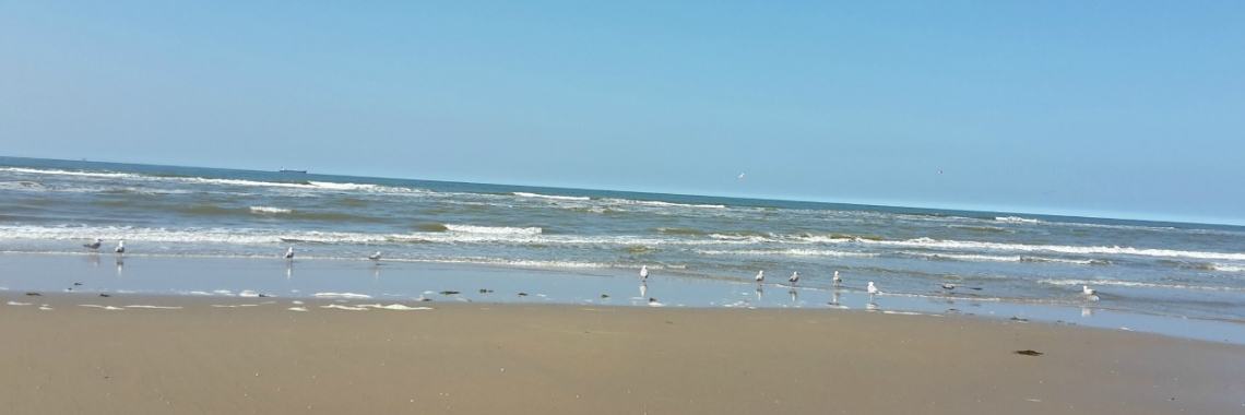 Geliefd aan de zee | Rachel