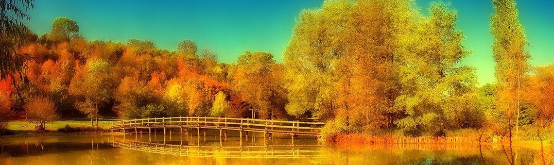 Het bijzondere rode glaasje | Rachel