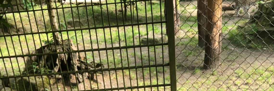 Tierentuin nordhorn | Anitabc