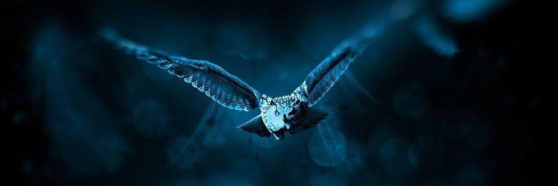 Antwerpse Legendes II | Nicole de Ridder