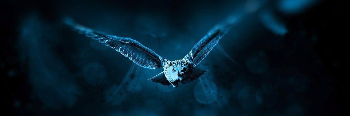 Antwerpse Legendes XIV | Nicole de Ridder